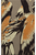 WINGED