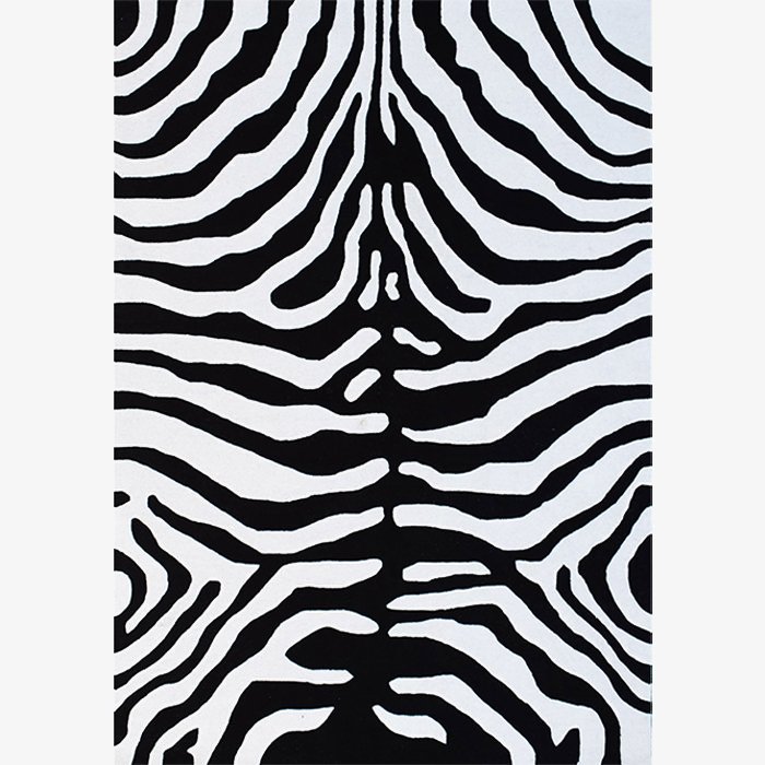 Masai Zebra