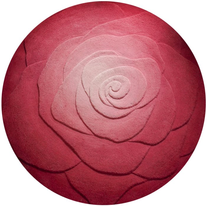 Rose Reverie