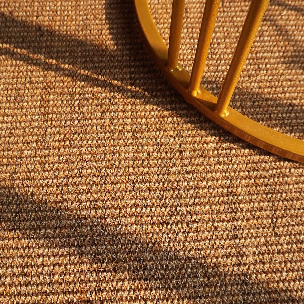 Terra Tide